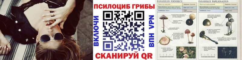 хочу Азов Галлюциногенные грибы Magic Shrooms